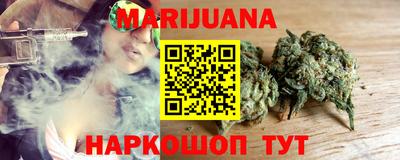 индика Дубна