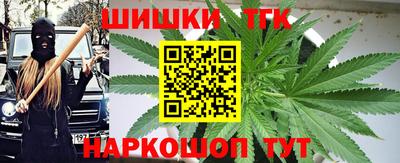 индика Дубна