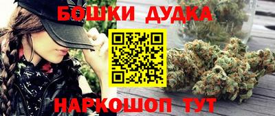 индика Дубна