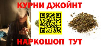 индика Дубна
