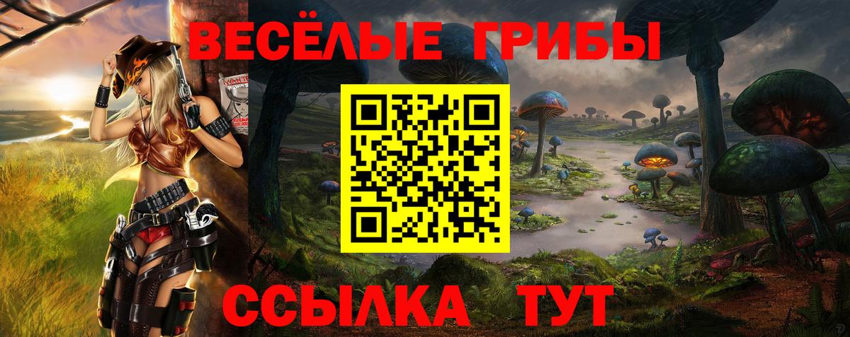 Псилоцибиновые грибы мухоморы Муравленко