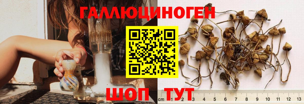 Псилоцибиновые грибы GOLDEN TEACHER  Вход с VPN  Муравленко 